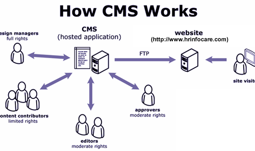 cms-management